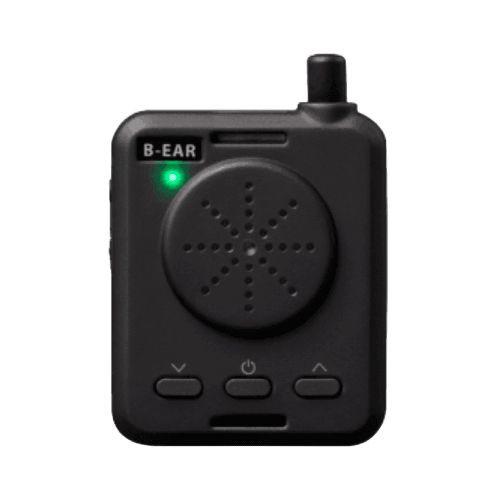 BRIDGECOM LT