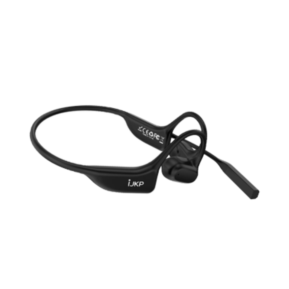 IJKP-HM-01-SW